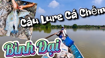 2N1Đ Câu Lure Cá Chẻm Đầm Bình Đại || Hốt trọn ổ cá chẻm || Barramundi Fishing