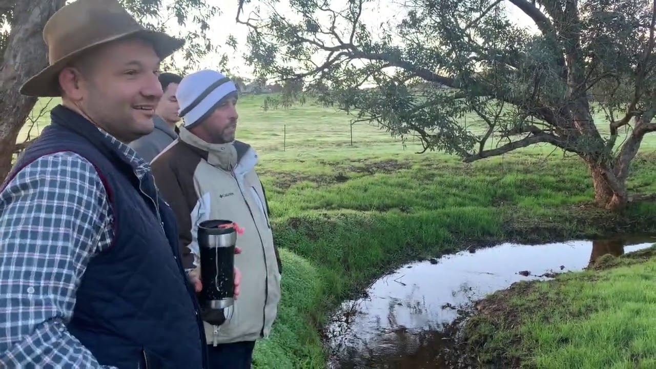 Organic Beef Farming - Chat With A Farmer - YouTube