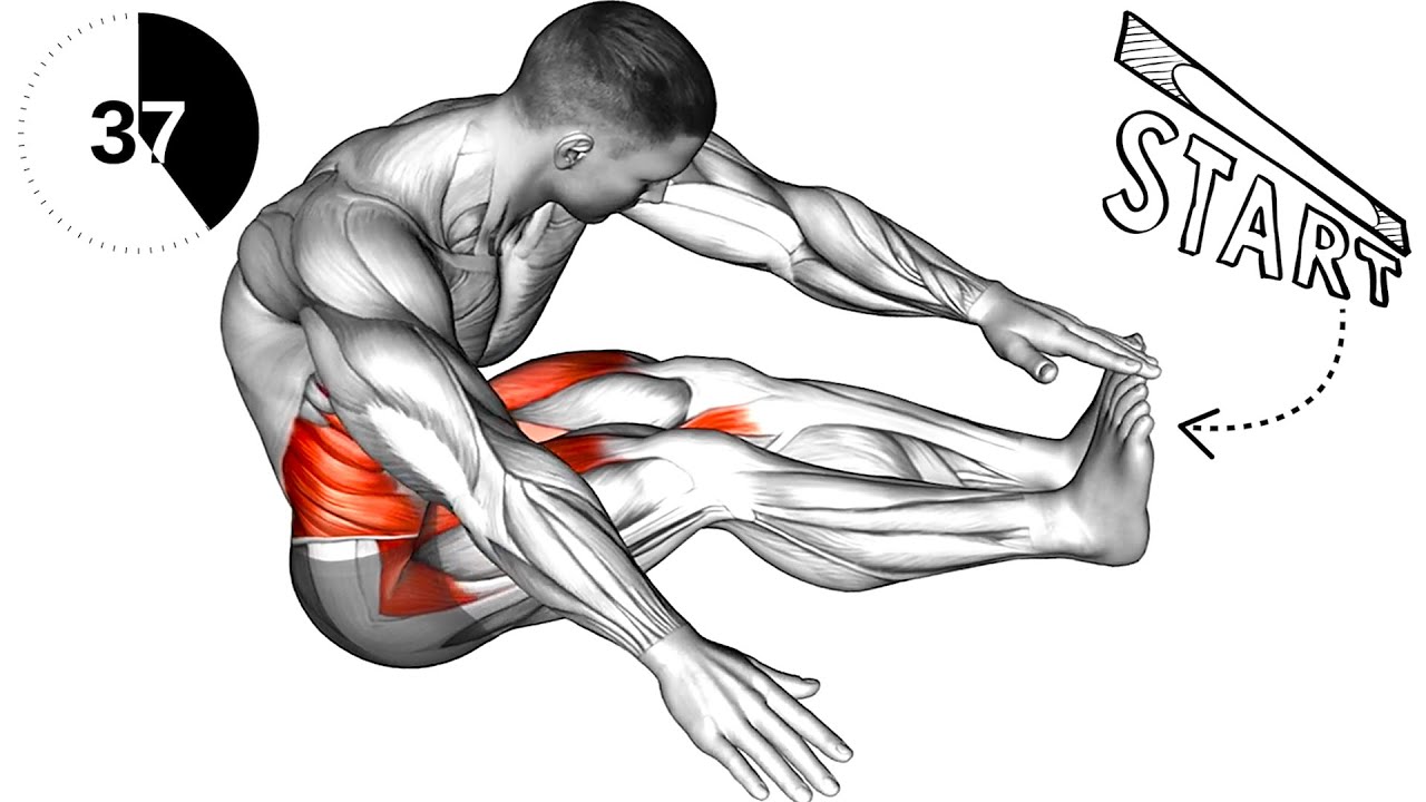 Best Stretches to Improve Flexibility and Mobility - YouTube