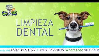 Clinica Veterinaria Just Pets - Ciudad del Saber
