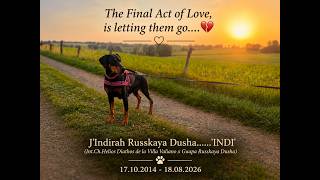 Indi The Final Act of Love Is Letting Them Go. Saying Goodbye Until We Meet Again