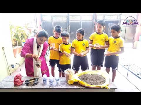 Jamara Seeding Program || 2079/06/06 Thursday || Synapse School