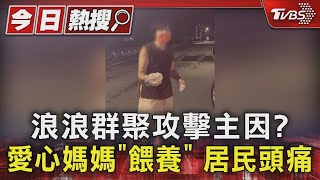 浪浪攻擊釀1死2傷!「耳朵險被咬掉」愛心媽媽餵養釀禍｜TVBS新聞 @TVBSNEWS01