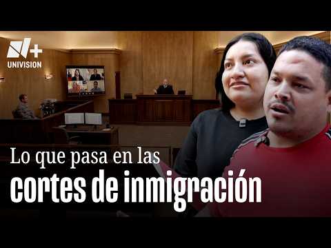 Stalled Immigration Cases: How Immigration Courts Work