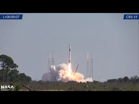 SpaceX CRS-19 Falcon 9 Launch Livestream Dec 5 2019