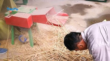 Wood Crusher is Crushing Wheat Straw