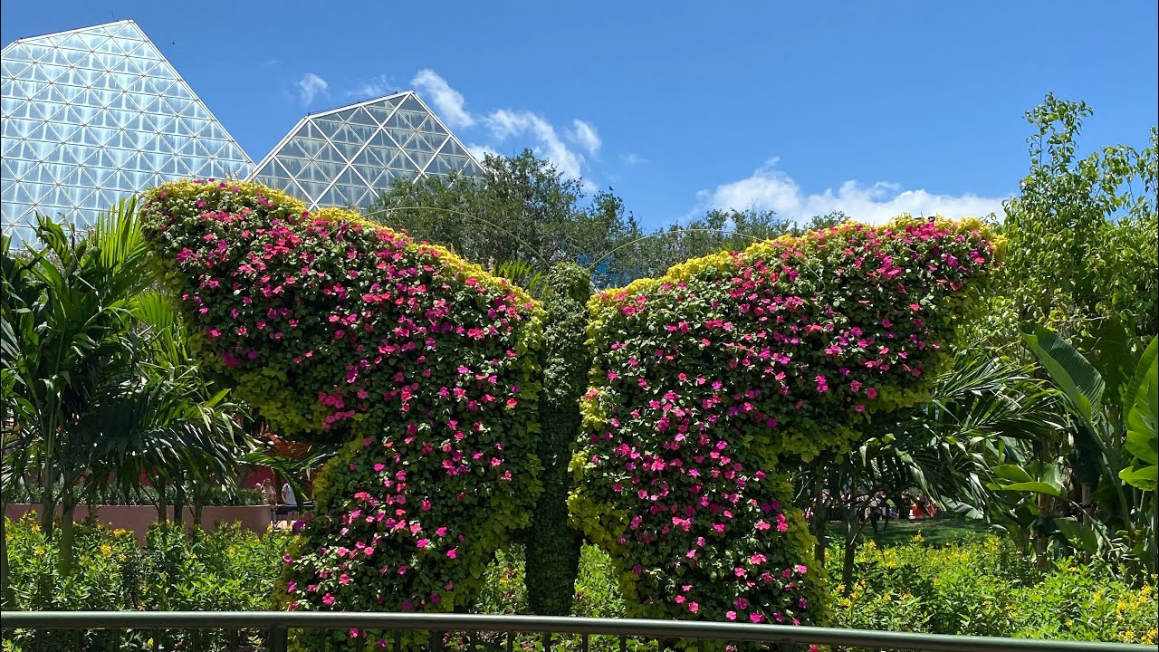 🔴 Butterfly Garden at EPCOT YouTube