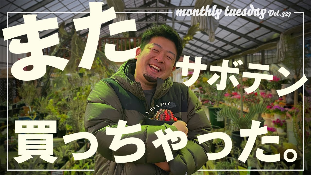 サボテン購入】シマムラ園芸で一目惚れしたギムノカリキウム