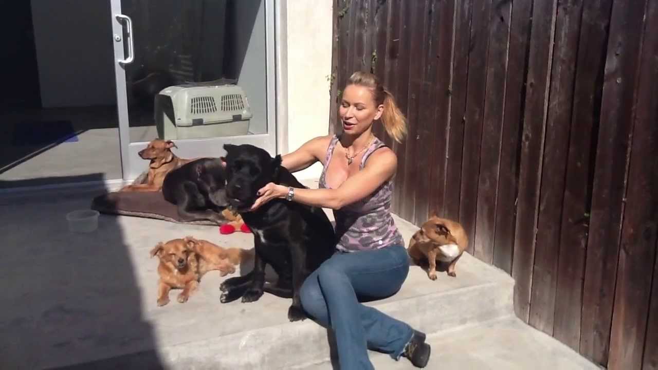 sore muscles after workout should i continue Happy Valentine's Day! |