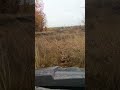 25 октября 2025 г.