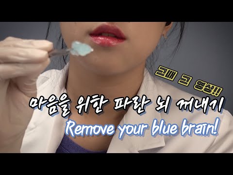 [ASMR] 파란 뇌를 꺼내볼까요? Remove blue brain! [한국어/KOREAN]