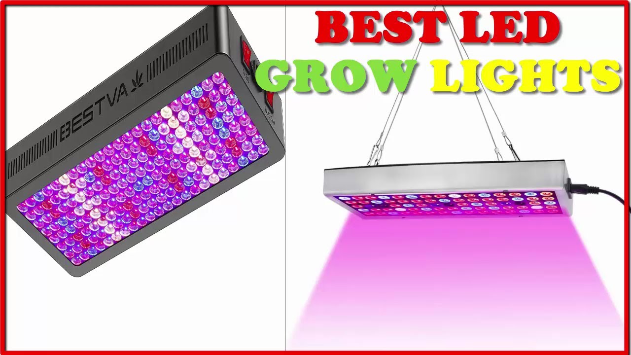 Top 4 Best LED Grow Lights in 2023 Reviews - YouTube