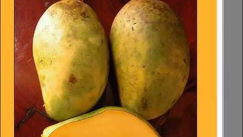 Learn How Too Use The Pen Tool In Photoshop CS3! By Rohullah