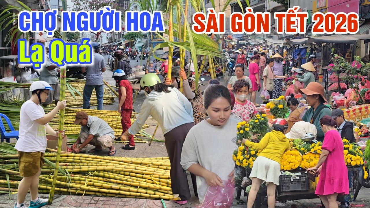 ĐỘC ĐÁO NGÀY HỘI BẮT THANG LÊN TRỜI CỦA NGƯỜI HOA - TẾT SÀI GÒN 2026 DÒNG NGƯỜI KẸT CỨNG Ở CHỢ THIẾC