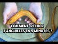 Comment pcher languille  la main   how to fish for eels without any trap  passionvietnam