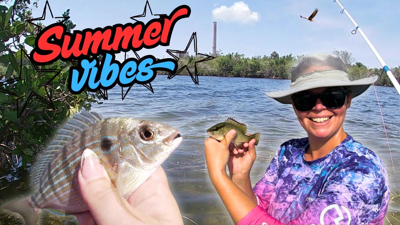 Summertime Florida Fishing at the Anclote Power Plant and Dunedin Causeway