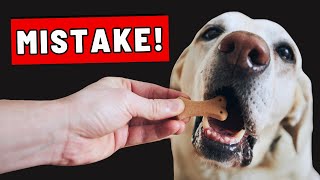 9 Things That RUIN THE BOND with Your Dog