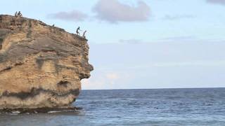 Living Life To The Fullest