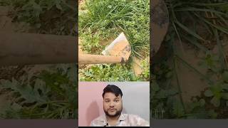 Fawda For Garden Cleaning And Soil Cultivation || Cheapest Farming Hoe #shorts #tool