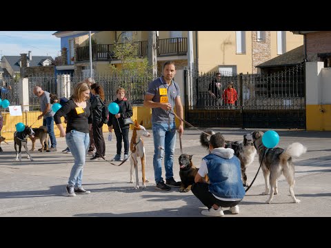 Camponaraya recupera la celebración de la Feria de las Mascotas