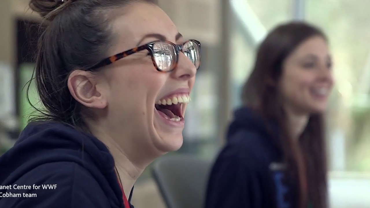 GSFA 2017 | Willmott Dixon | Our 'Why' film