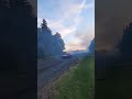 2gen z-28 burnout and in the ditch