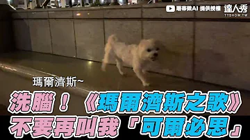 洗腦 瑪爾濟斯之歌 不要再叫我 可爾必思 珊蒂微AI 