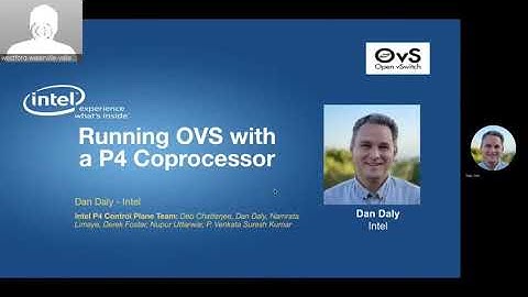 Running OVS with a P4 coprocessor