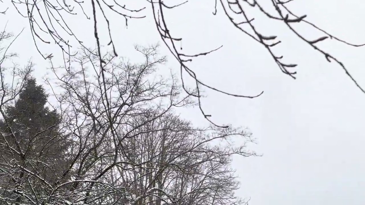 Relaxing snow showers #relaxing #snow #relaxingmusic #germany 