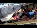 Homme contre requin  scne de fin des dents de la mer