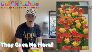 Colorblends Bulb Order!🌷💐🌷  (They Gave Me 200 Extra Bulbs!)
