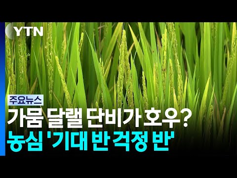 <strong>농심</strong> '기대 반 걱정 반' / YTN