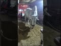 #bakraeidspecial #season#enjoy #karachikironaqen#cow#camel#eidspecial #cow #foryou #foryoupage