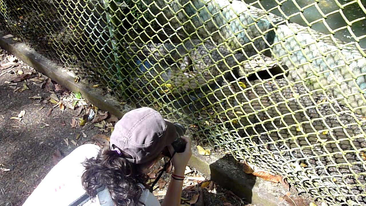 Summit Park Gamboa, Ciudad de Panama YouTube