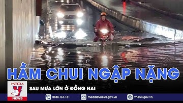 Hầm chui ở Đồng Nai ngập nặng sau mưa lớn - VNEWS