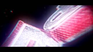 Viper Intro |PhantomArtz™