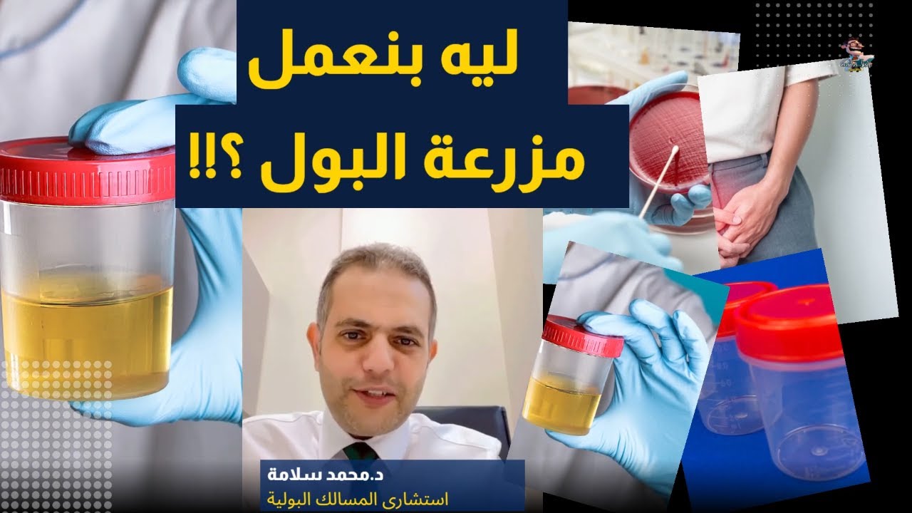 تحليل مزرعة البول | اهلا يا دكتور تخصص المسالك البولية قراءة مزرعة البول