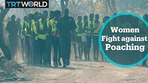 Zimbabwe Female Rangers: Women embrace dangers of wildlife protection