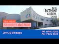 Día del Patrimonio - Tour Virtual "Secretos del MIM" (Sábado 29 de mayo - 11:00 horas)