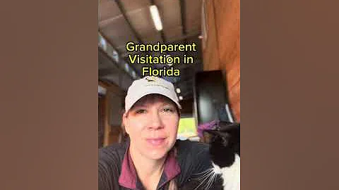 Grandparent visitation and custody in Florida