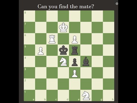 Four Beginner Chess Puzzles that everyone should know - YouTube