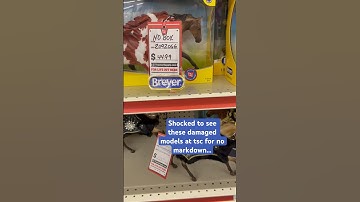 SHOOK about these damaged tsc models! #breyer #modelhorses #breyerhorses #treasuredmodelhorses
