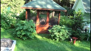 Fleurs et jardin, flowers and garden Place Tournesol St-Donat-de-Montcalm by Pierre Forget 18 views 1 year ago 6 minutes, 13 seconds