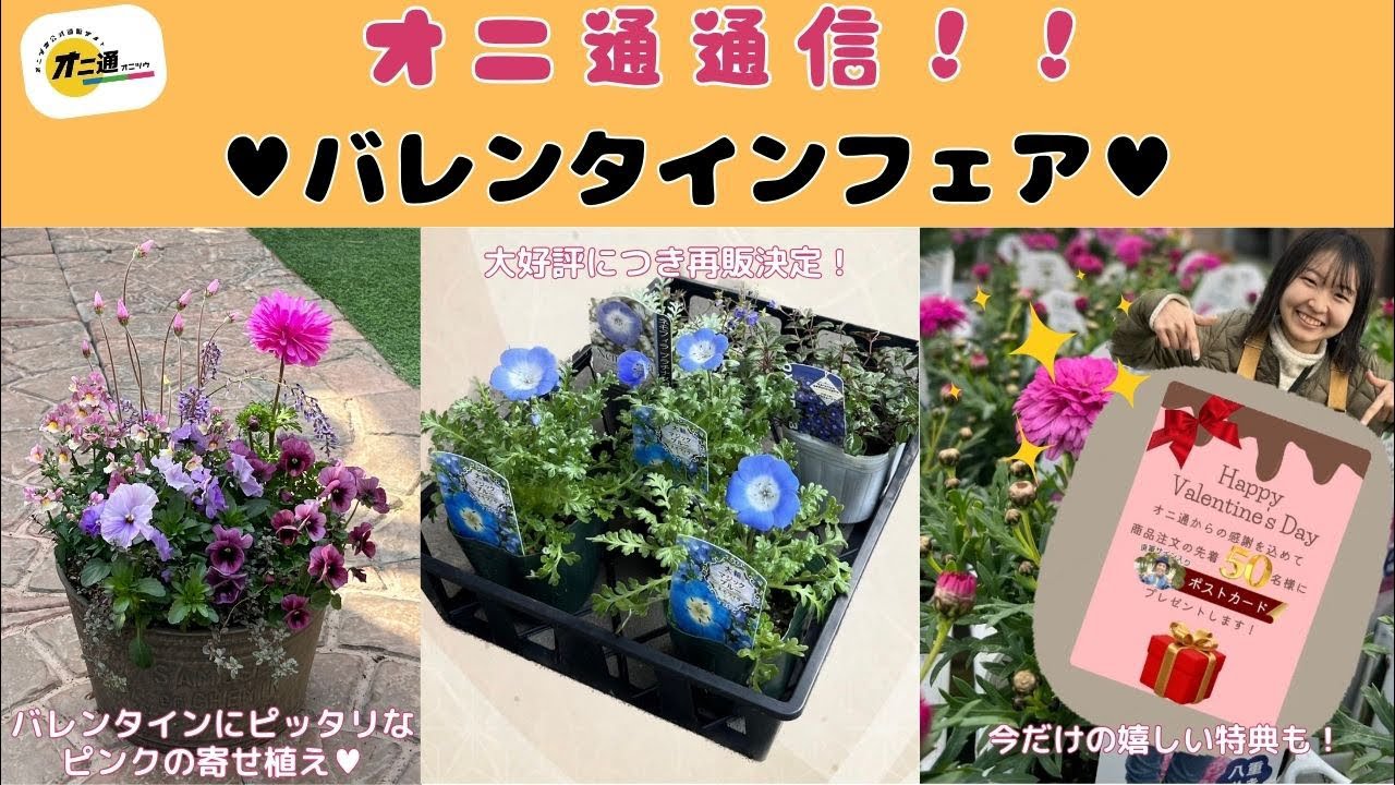 Onitsu News] Valentine's Fair - YouTube