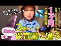 🇦🇺英語が生活言語の３歳ハーフが１ヶ月日本の保育園に通ったら…