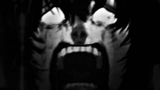 Safado No Bailao Ultra Slowed - Dj Fku