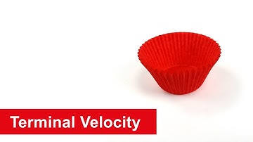 Terminal Velocity of Cup Cake Cases