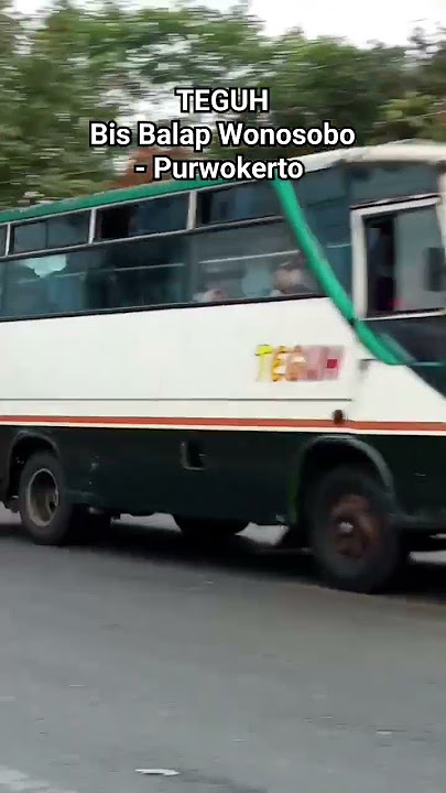 Teguh. Bus Medium Purwokerto - Wonosobo