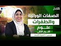 الصفات الوراثية والطفرات علوم اولي اعدادي الترم التانى 2026