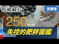 失控的全球肥胖圖鑑!台灣BMI27拉警報 減稅15億能減糖?身處「致胖環境」渾然不知｜【島嶼解方 完整版】 三立新聞LIVE｜三立新聞LIVE